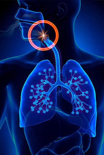 Respiratory